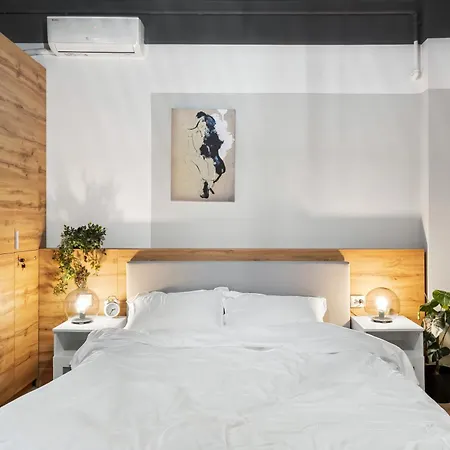 公寓 Luxor Studio Old City 布加勒斯特